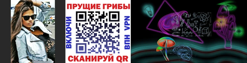 Псилоцибиновые грибы Psilocybe Воскресенск
